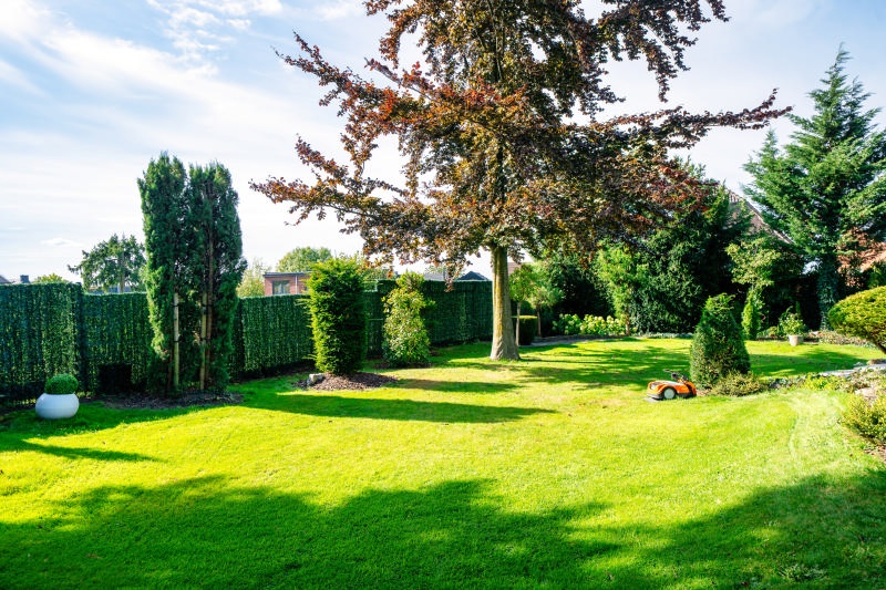 WAUCOMONT IMMO BLEGNY 3 CHAMBRES JARDIN TERRAIN
