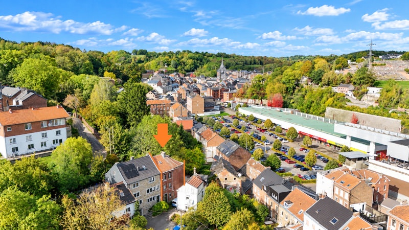 WAUCOMONT IMMO VENTE MAISON DISON JARDIN