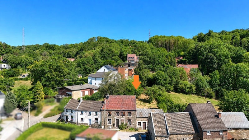 IMMO WAUCOMONT VENDRE MAISON JARDIN VAUX